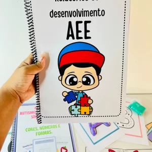 Relatórios de desenvolvimento AEE