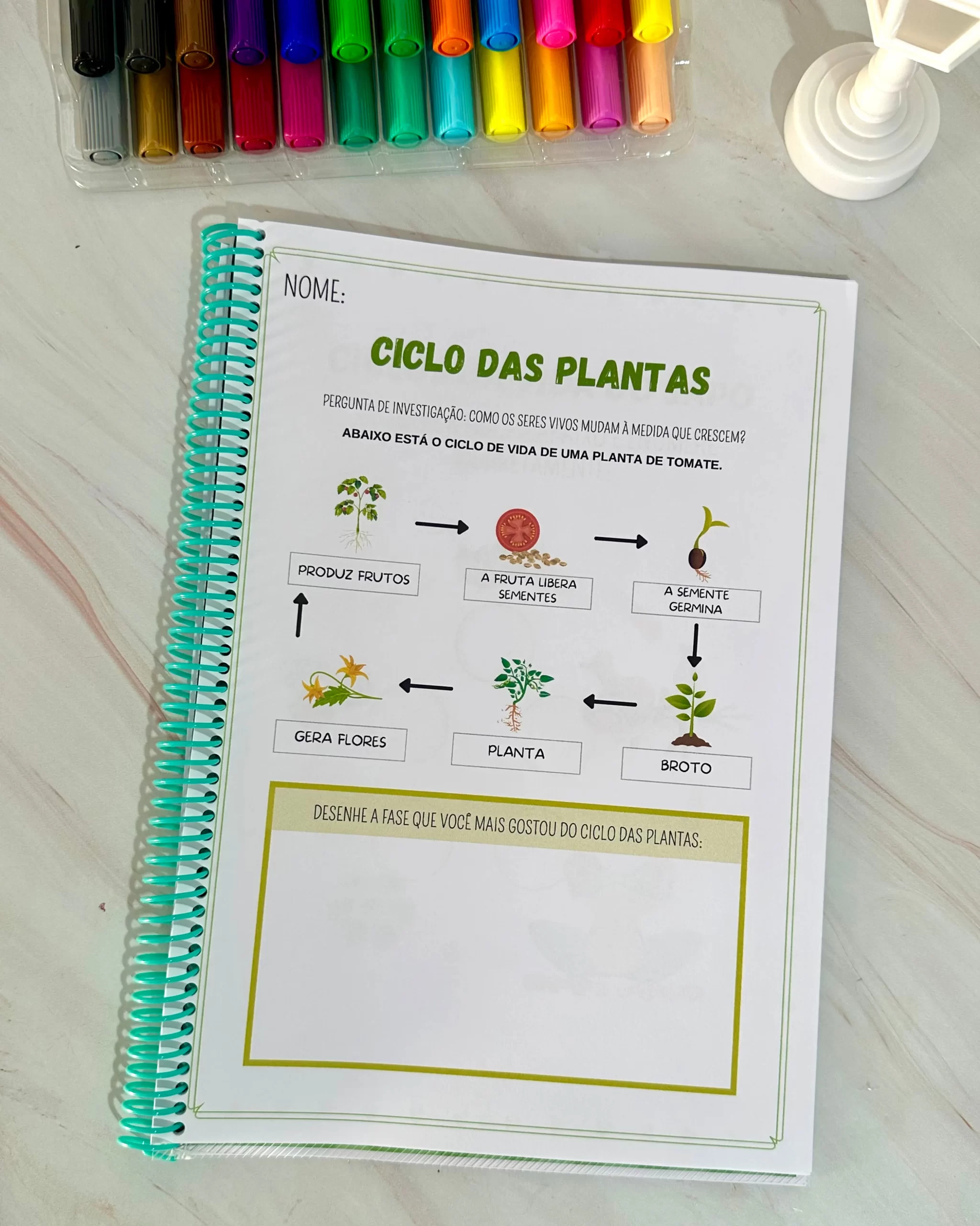 Sequência Temporal - Imagem 2