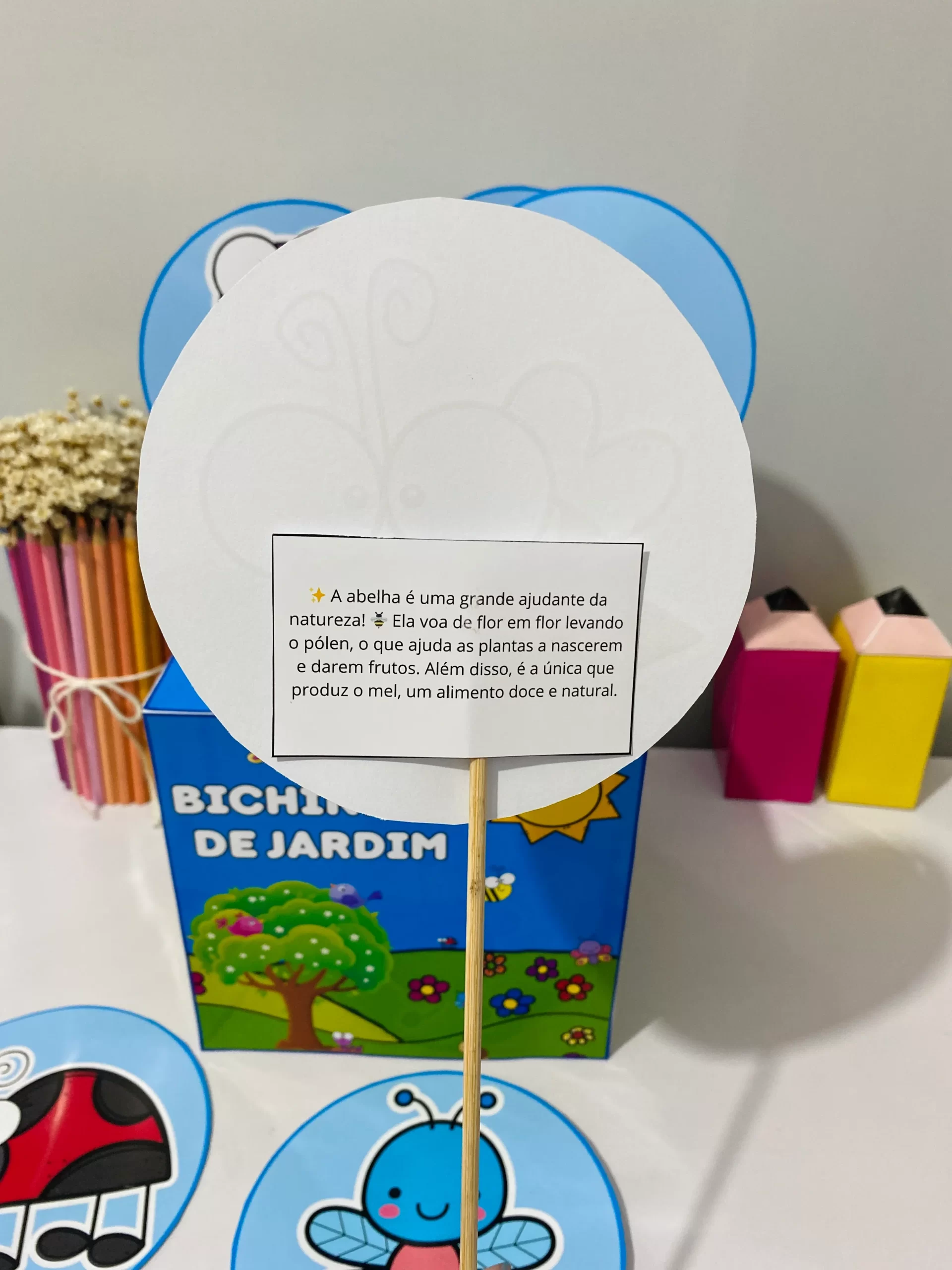 Caixa Bichinhos de Jardim - Imagem 4
