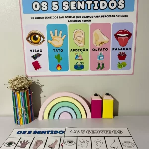 Os 5 Sentidos