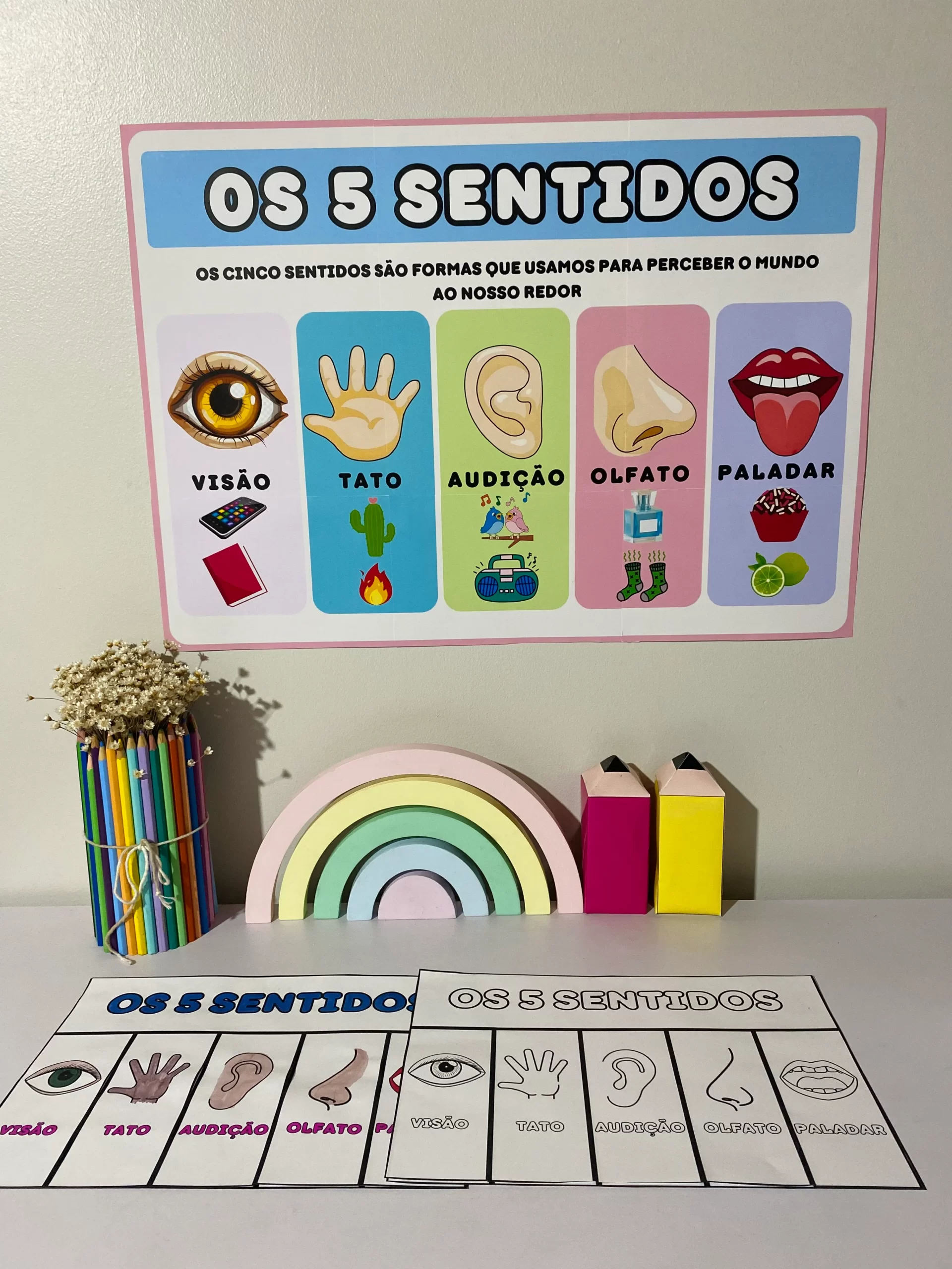 Os 5 Sentidos