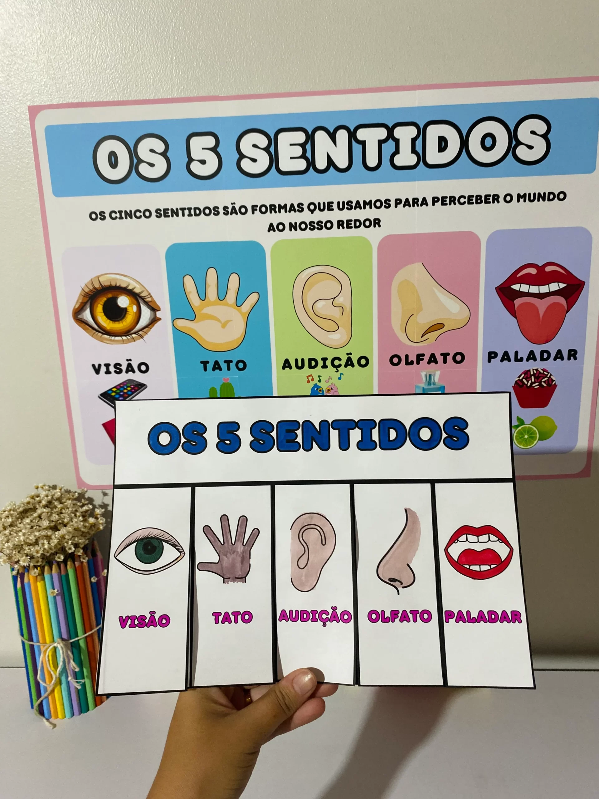 Os 5 Sentidos - Imagem 2