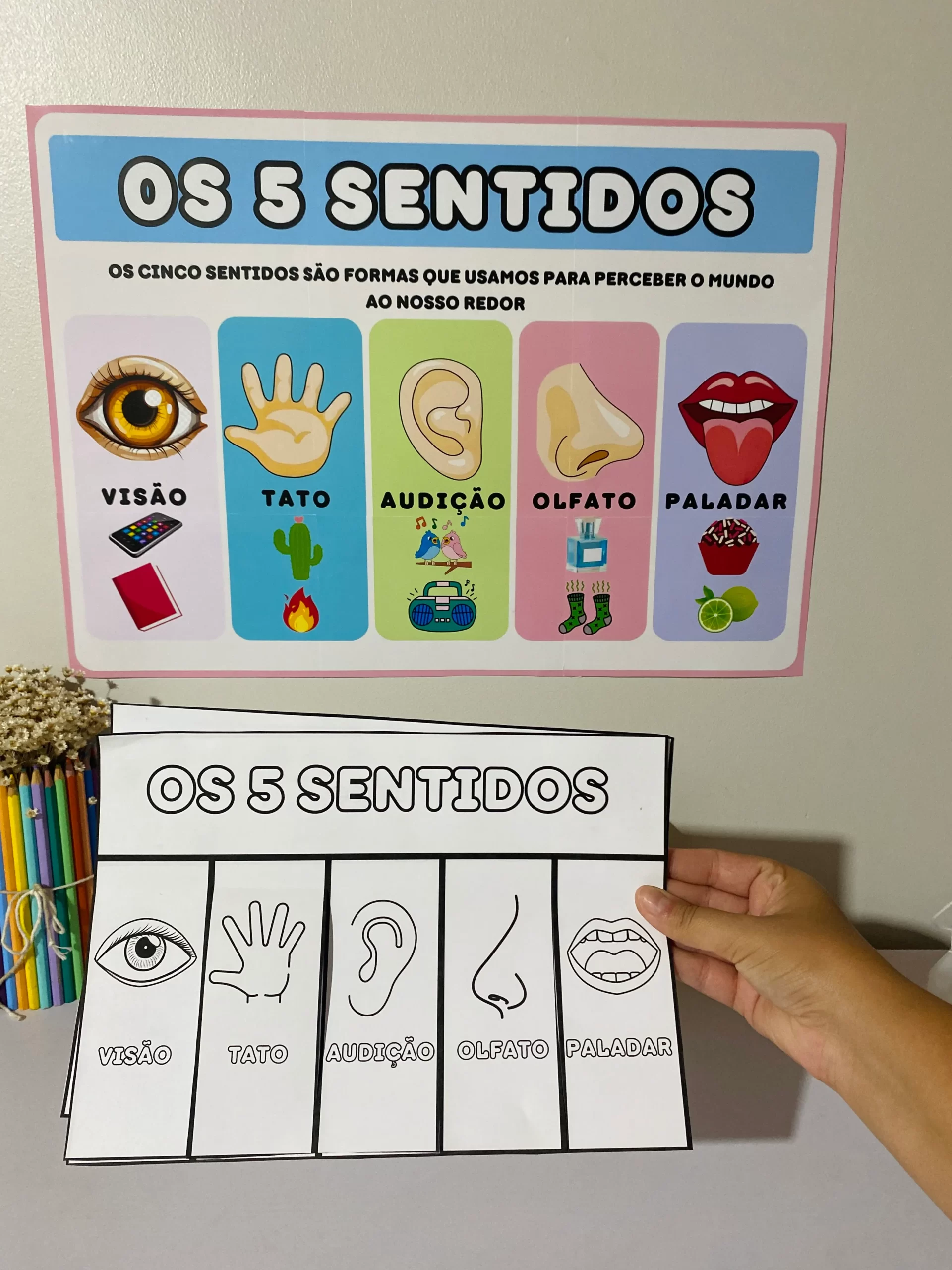 Os 5 Sentidos - Imagem 4