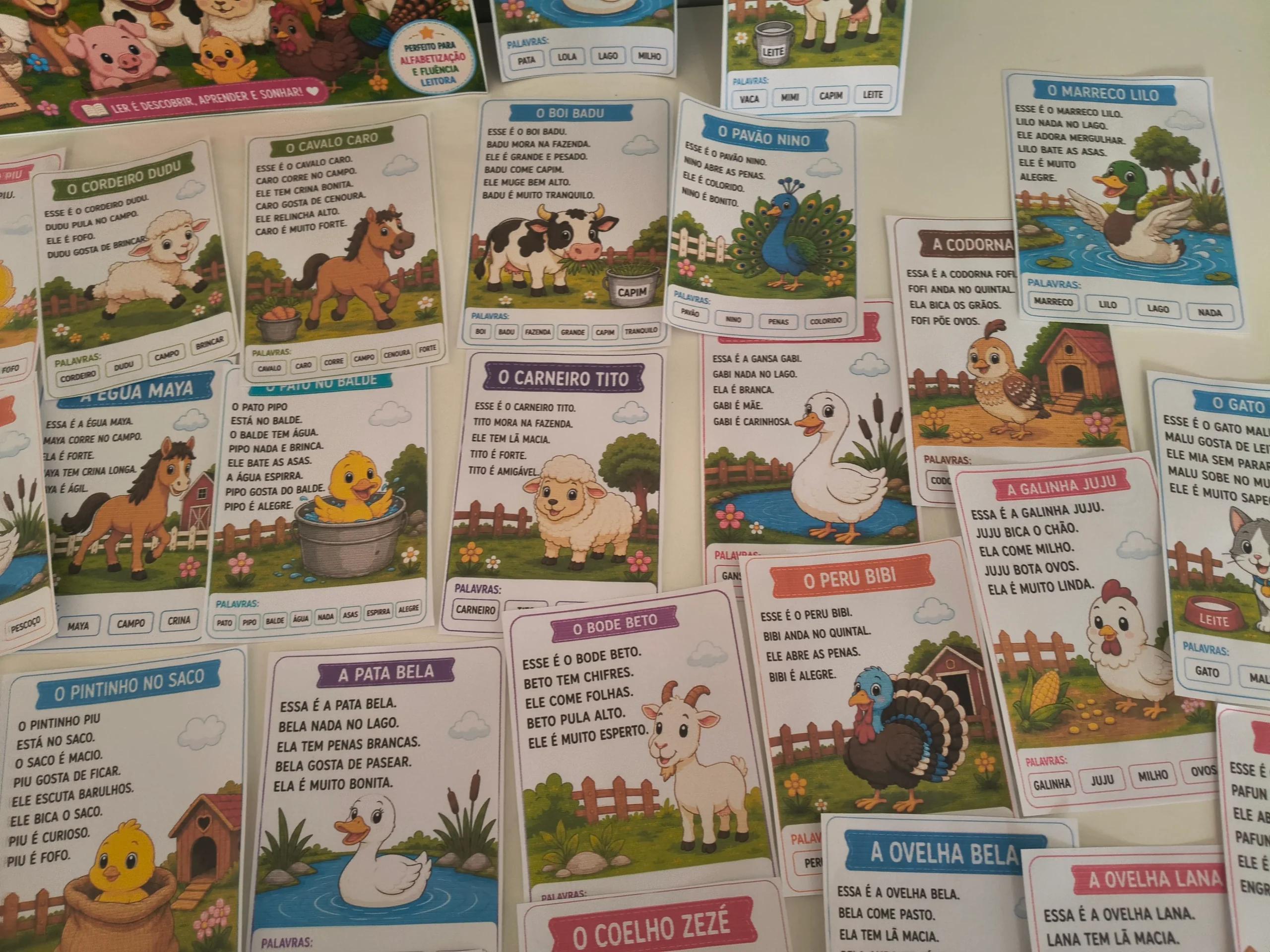 Minha Primeira Leitura – Animais da Fazenda - Imagem 6