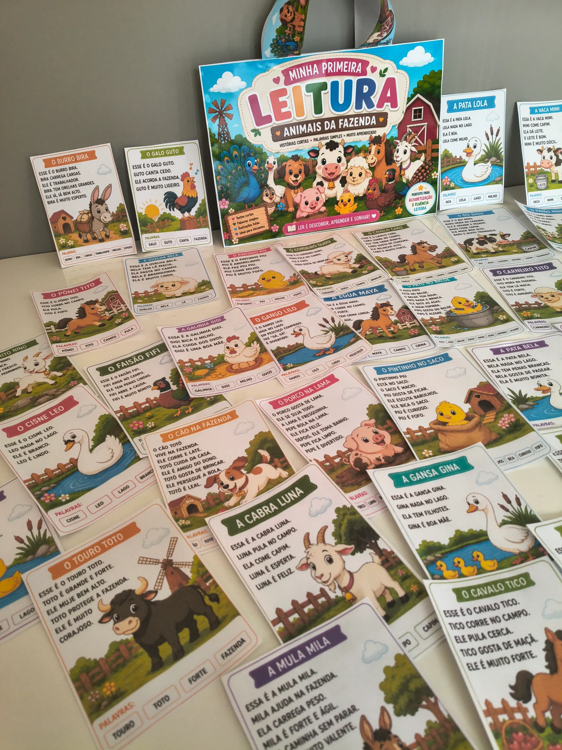 Minha Primeira Leitura – Animais da Fazenda - Imagem 8
